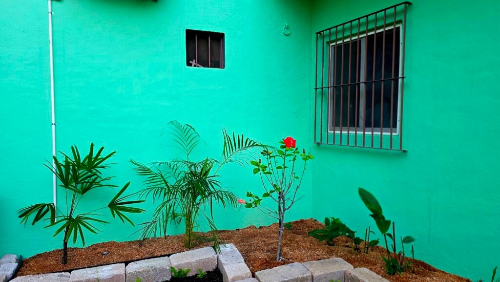 la joya escondita higuera blanca sayulita punta mita apartment vacation rental