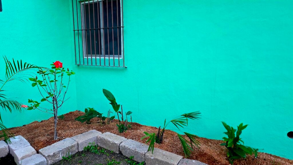 la joya escondita higuera blanca sayulita punta mita apartment vacation rental