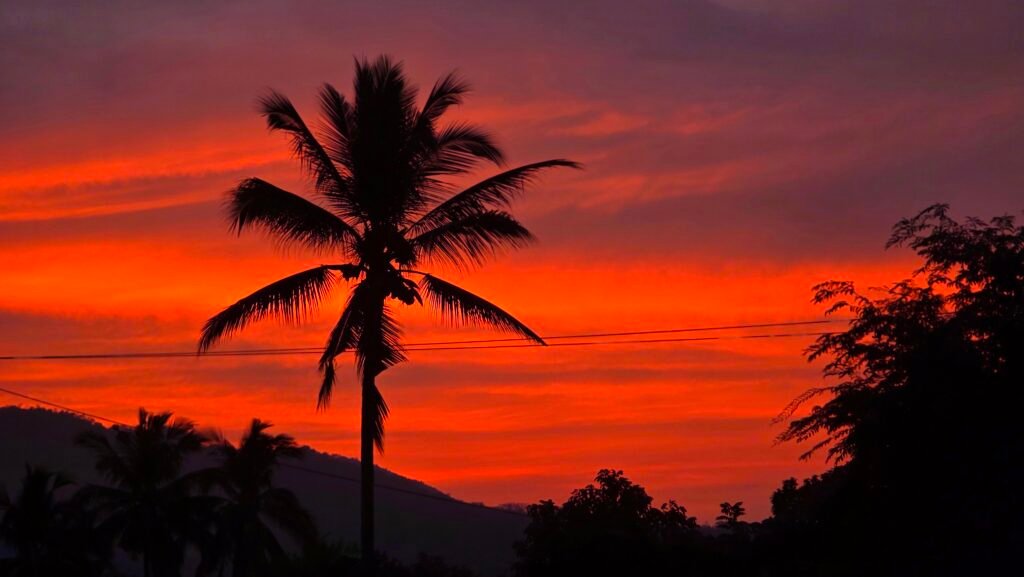 la joya escondita higuera blanca sayulita punta mita apartment vacation rental