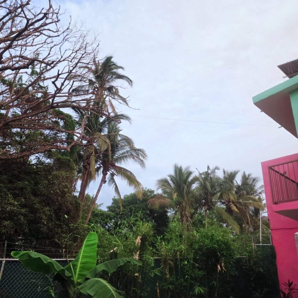 garden in ground heated pool la joya escondita vacation rental jungle higuera blanca nayarit sayulita punta mita air bnb